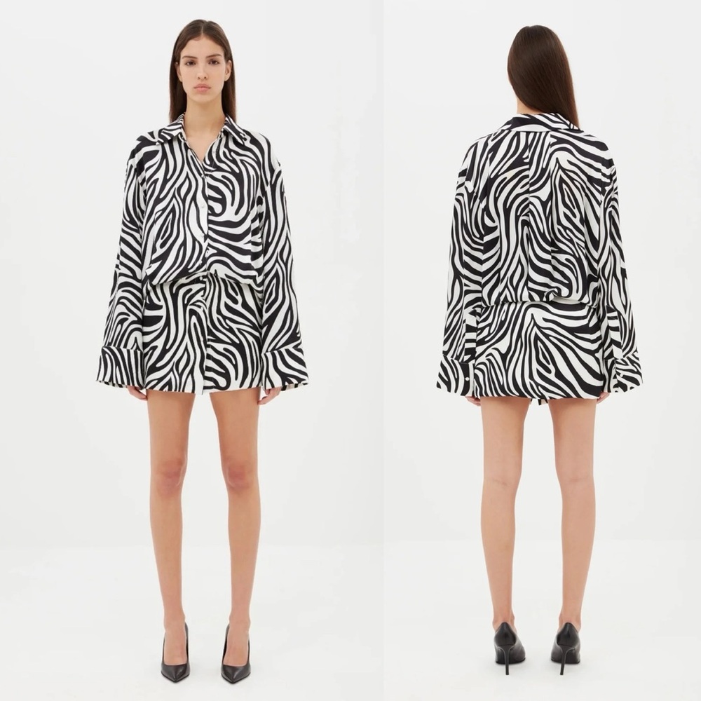 Aexae | NWOT! Silk Short Zebra Print Dress Size: Small
